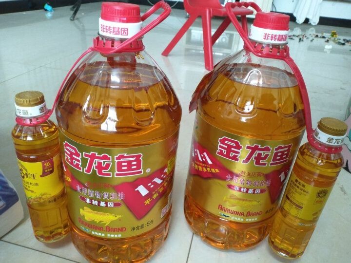 金龍魚價格排行榜最新表，金龍魚價格排行榜