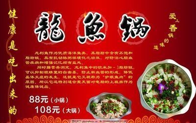 龍魚吃什么最健康：龍魚的飲食應該多樣化