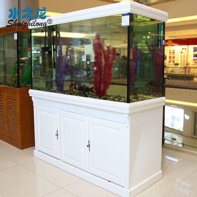 龍魚什么地方購買便宜點（花鳥魚市、大型水族店、網購平臺或專業漁場購買龍魚）
