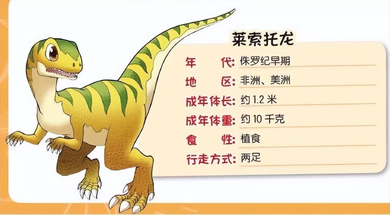 龍魚有多大，如何判斷龍魚的大??？