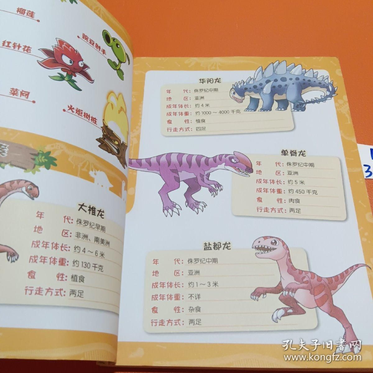 龍魚有多大，如何判斷龍魚的大小？