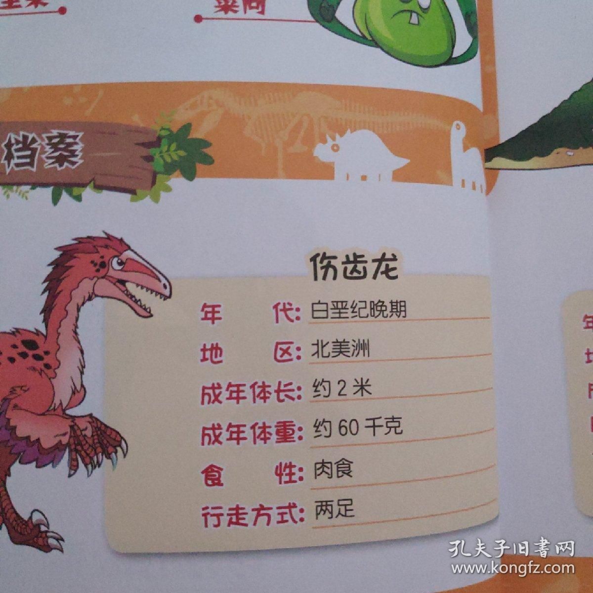 龍魚有多大，如何判斷龍魚的大小？
