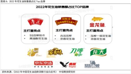 金龍魚和龍大，金龍魚與龍大的區別