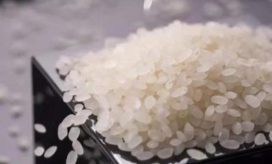 招財魚和金龍魚混養嗎圖片：招財魚與金龍魚混養指南