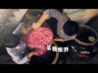 龍魚背景圖哪個(gè)最火，龍魚背景圖哪個(gè)最火龍魚壁紙流行色排行色排行