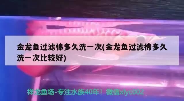 金龍魚過濾棉多久洗一次，金龍魚過濾棉的清洗頻率