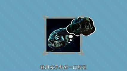 龍魚秒懂百科，龍魚秒懂百科——龍魚的飼養(yǎng)技巧