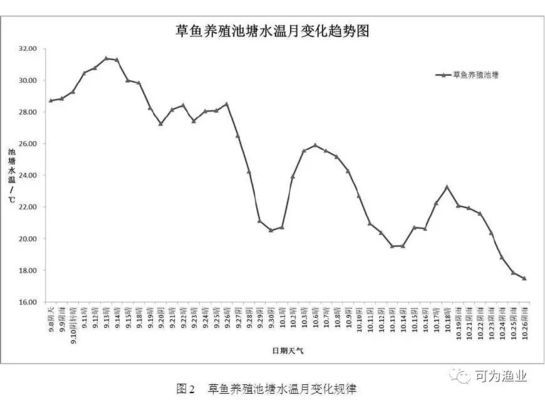 龍魚眼睛有白膜用什么藥：龍魚眼睛外面有白膜放青霉素可以嗎?