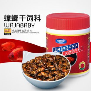 龍魚飼料推薦品種大全及價(jià)格，龍魚飼料及種類及價(jià)格 龍魚飼料推薦品種大全及價(jià)格，龍魚飼料及種類及價(jià)格 龍魚百科 第4張