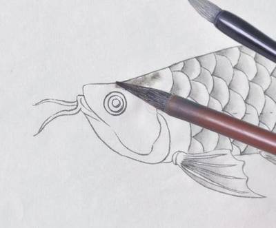 畫金龍魚怎么畫簡單：在尋找簡單的方法來畫金龍魚時