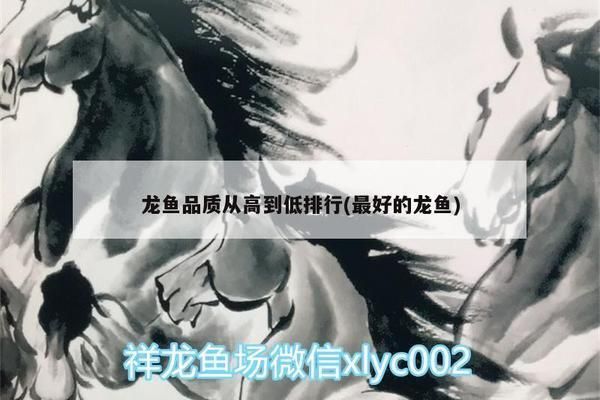 龍魚品質從高到低的原因是什么呢，龍魚品質從高到低的原因