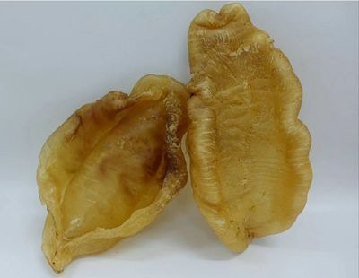 金龍魚膠怎么辨別好壞，金龍魚膠真假鑒別技巧