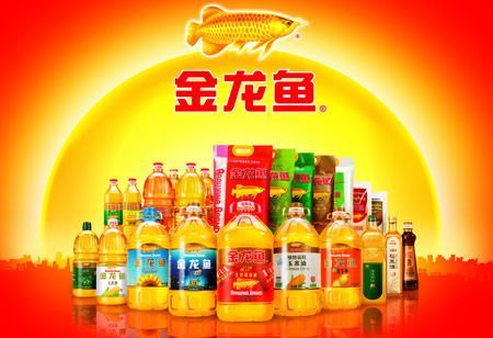 金龍魚幾塊錢一個，金龍魚價格因多種因素而異 金龍魚幾塊錢一個，金龍魚價格因多種因素而異 龍魚百科 第1張