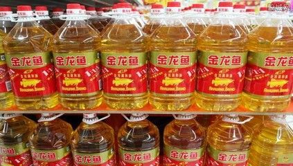 金龍魚怎么選擇品相好，如何鑒別金龍魚畸形