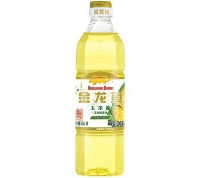 金龍魚怎么選擇品相好，如何鑒別金龍魚畸形