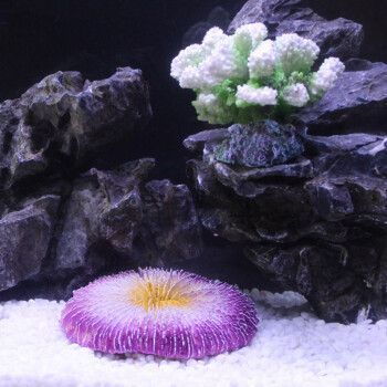 易萌魚缸，易萌魚缸怎么樣