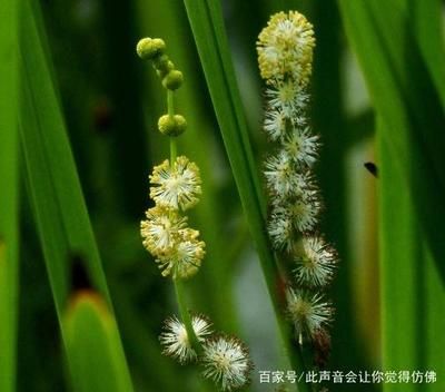 世界四大漁場(chǎng)分布特點(diǎn)(世界四大漁場(chǎng)地理位置)