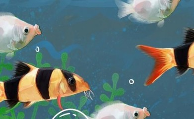龍魚飼料推薦品牌有哪些牌子好一點：2024年的龍魚飼料排行榜好評率高達94%