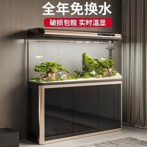 龍魚專用缸排名第一是什么魚啊，2018龍魚專用缸品牌排名