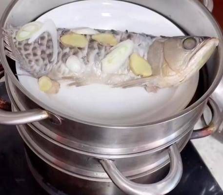 石家莊金龍魚(yú)，石家莊金龍魚(yú)石家莊代理