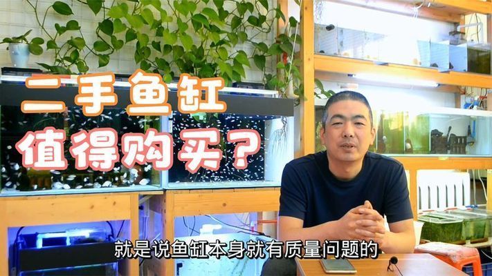 魚缸用二手的好嗎（二手魚缸如何正確消毒）