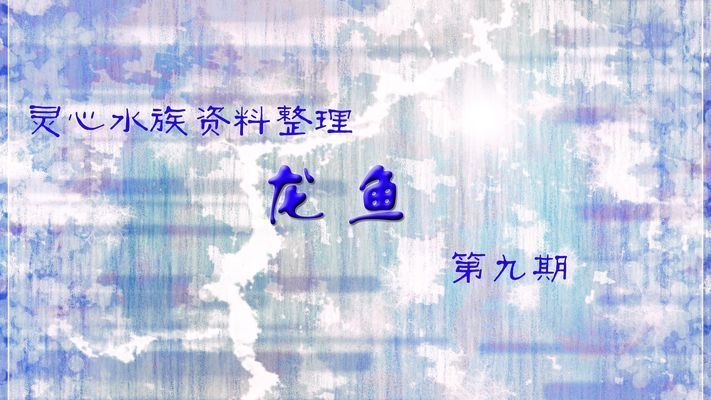 龍魚是什么品種，幾種常見的龍魚品種介紹
