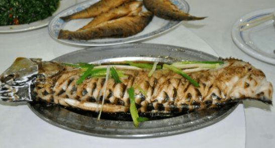 龍魚頑固性水霉，龍魚頑固性水霉的治療方法