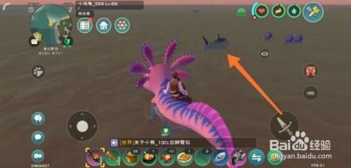龍魚一個(gè)星期不吃食正常嗎視頻：龍魚一星期不進(jìn)食，探尋背后的原因與應(yīng)對(duì)策略