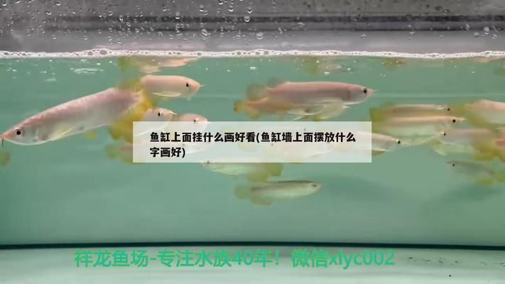 金龍魚溫度多少度合適：金龍魚水質管理技巧金龍魚換水頻率指南,金龍魚換水頻率指南