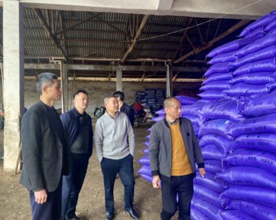 金龍魚進貨渠道是什么，金龍魚生產基地布局分析