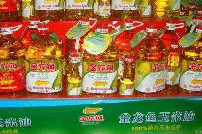 金龍魚(yú)加盟代理?xiàng)l件(金龍魚(yú)加盟優(yōu)勢(shì)分析) 龍魚(yú)百科 第4張 金龍魚(yú)加盟代理?xiàng)l件(金龍魚(yú)加盟優(yōu)勢(shì)分析) 金龍魚(yú)加盟代理?xiàng)l件(金龍魚(yú)加盟優(yōu)勢(shì)分析) 龍魚(yú)百科 第4張