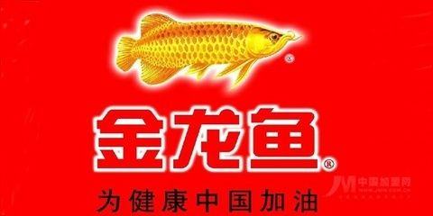 金龍魚(yú)加盟代理?xiàng)l件(金龍魚(yú)加盟優(yōu)勢(shì)分析) 龍魚(yú)百科 第6張 金龍魚(yú)加盟代理?xiàng)l件(金龍魚(yú)加盟優(yōu)勢(shì)分析) 金龍魚(yú)加盟代理?xiàng)l件(金龍魚(yú)加盟優(yōu)勢(shì)分析) 龍魚(yú)百科 第6張