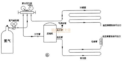 龍魚要多少水溫養(yǎng)：探秘龍魚生存的水溫奧秘，適宜水溫是關(guān)鍵