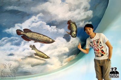 金龍魚(yú)怎樣畫(huà)，國(guó)畫(huà)金龍魚(yú)繪畫(huà)常見(jiàn)錯(cuò)誤解析,如何畫(huà)出金龍魚(yú)的動(dòng)態(tài)感