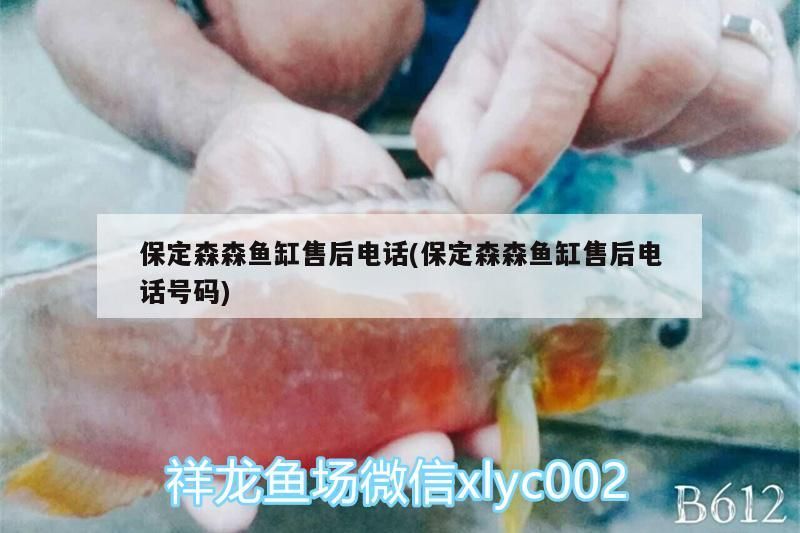 保定森森魚缸售后電話(保定森森魚缸售后電話號(hào)碼) 龍魚百科 第3張 保定森森魚缸售后電話(保定森森魚缸售后電話號(hào)碼) 保定森森魚缸售后電話(保定森森魚缸售后電話號(hào)碼) 龍魚百科 第3張