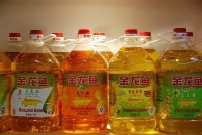 如何挑選金龍魚的好壞，如何挑選金龍魚