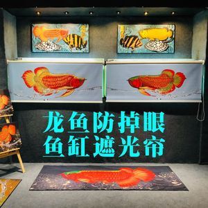 龍魚可以用藥水上色嗎，如何給龍魚上色