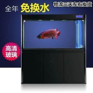 龍魚經(jīng)常性趴缸，龍魚趴缸可能由多種因素引起龍魚趴缸的可能原因及解決辦法