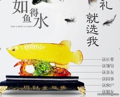 巨大金龍魚：巨大金龍魚在b站上有多個與金龍魚相關(guān)的視頻內(nèi)容