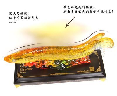 巨大金龍魚：巨大金龍魚在b站上有多個與金龍魚相關(guān)的視頻內(nèi)容