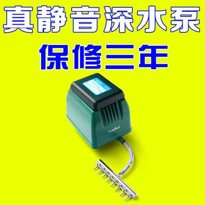龍魚氧氣泵用一直開么，龍魚氧氣泵是否需要24小時開啟