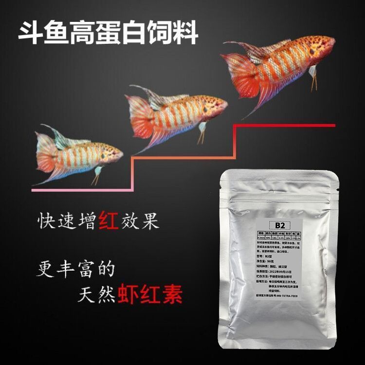 龍魚身上有白點是怎么回事圖片視頻講解大全：龍魚身上有白點是怎么回事？圖片視頻詳細講解