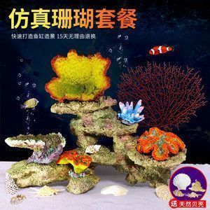 孔雀魚可以喂龍魚嗎，孔雀魚和龍魚在飲食上有什么區別？