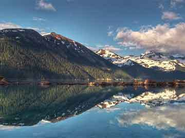 雷龍魚能一起養嗎，雷龍魚可以與其他魚類一起養嗎？