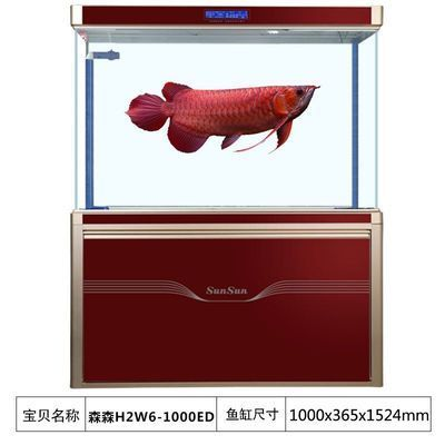龍魚用什么缸養比較好一點，養殖龍魚需要注意魚缸的選擇，龍魚魚缸風水布局技巧