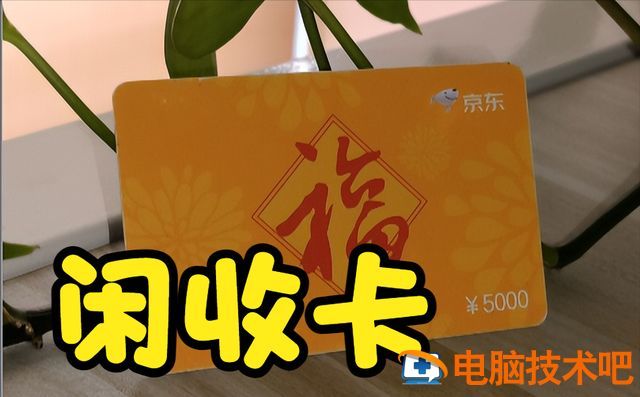 龍魚商城京東e卡可以不還嗎，京東e卡使用規則詳解龍魚商城京東e卡不需要還款