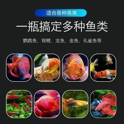 龍魚內寄能不能用甲硝唑：龍魚內寄能不能用甲硝唑治療內寄生蟲的首選藥物