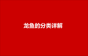 龍魚怎么區分高背過背還是低背，如何區分龍魚是高背、過背還是低背