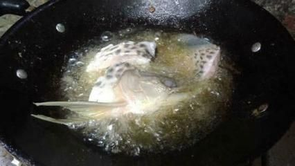 金龍魚白眼怎么治？：金龍魚出現(xiàn)白眼癥狀可能是由于多種原因引起的，治療方法不同