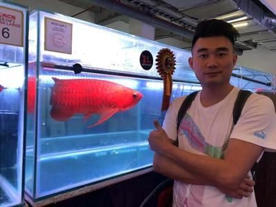龍魚入缸幾天換水，如何判斷龍魚水質(zhì)適宜，龍魚換水的最佳時間點 龍魚入缸幾天換水，如何判斷龍魚水質(zhì)適宜，龍魚換水的最佳時間點 龍魚百科 第6張